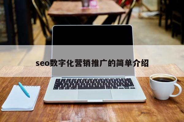 seo数字化营销推广的简单介绍