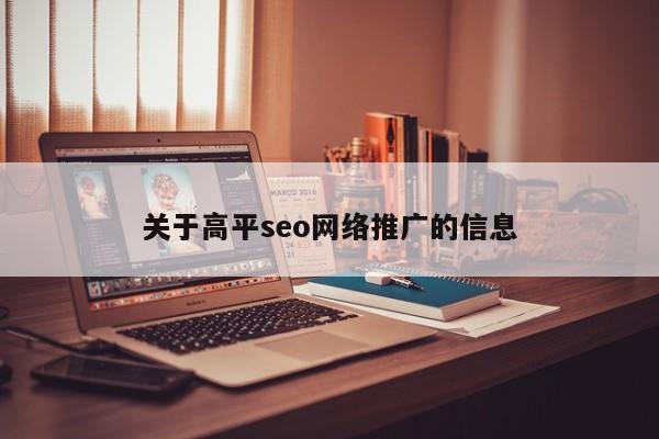关于高平seo网络推广的信息
