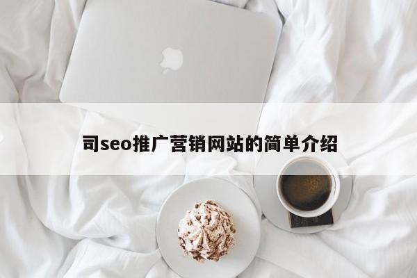 司seo推广营销网站的简单介绍