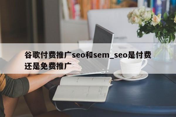 谷歌付费推广seo和sem_seo是付费还是免费推广