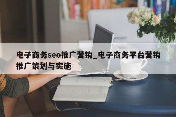 电子商务seo推广营销_电子商务平台营销推广策划与实施